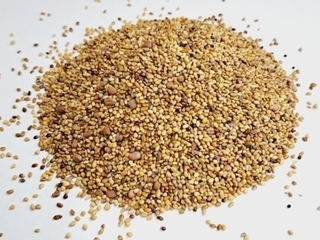 Sprouting - Sandwich Blend